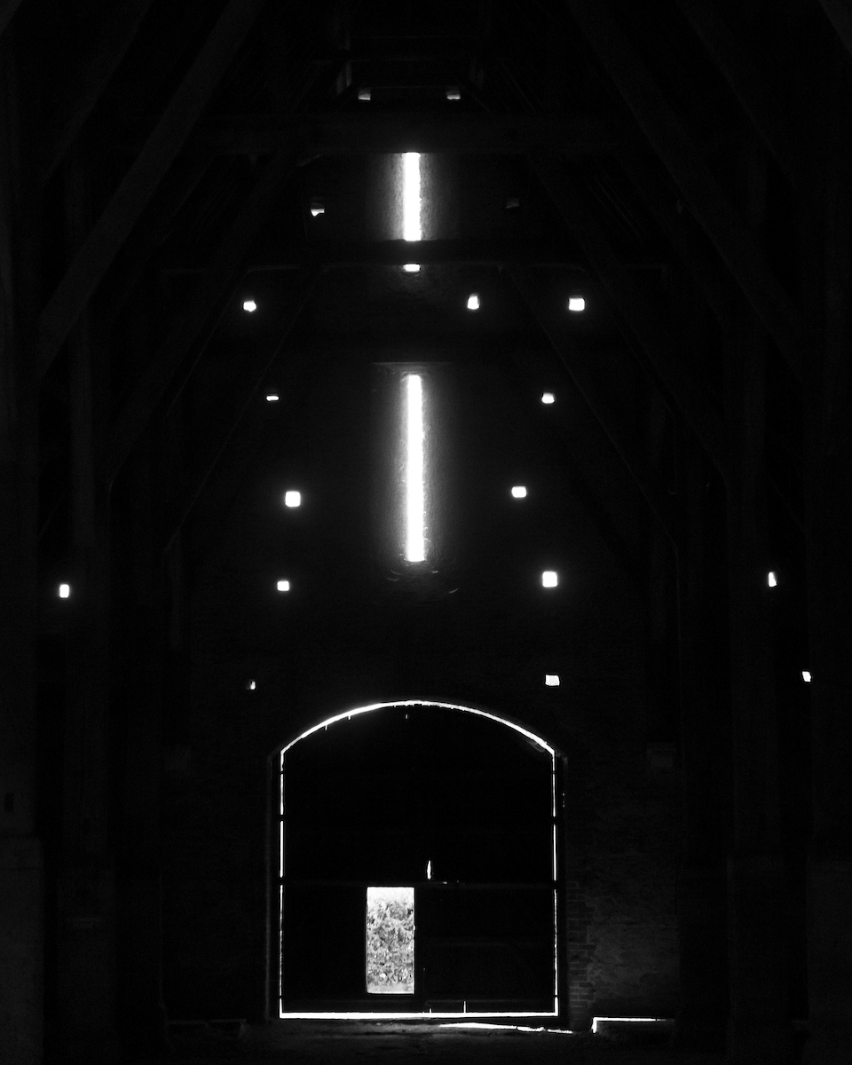 Photograph © Andy Marshall